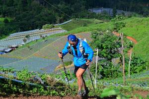 BIB: 
                            <button type="button" onclick="openModal(13379390)" class="btn btn-primary btn-sm float-right btn-popup" data-toggle="modal" data-target=".modal-high-quality">
                        <i class="fas fa-shopping-cart"></i> Add to Cart
                    </button>
                                            <button type="button" onclick="isThisMe(13379390, true)" class="btn btn-success btn-sm float-right btn-popup btn-isme hidden" data-toggle="tooltip" data-placement="bottom" title="นี่คือรูปของคุณใช่ไหม คลิกที่นี่เพื่อเอาเข้าอัลบั้ม">
                        <i class="fas fa-plus"></i> Add to album
                    </button>
                    <button type="button" onclick="isThisMe(13379390, false)" class="btn btn-warning btn-sm float-right btn-popup btn-isnotme hidden">
                        <i class="fas fa-ban"></i> Remove from album
                    </button>